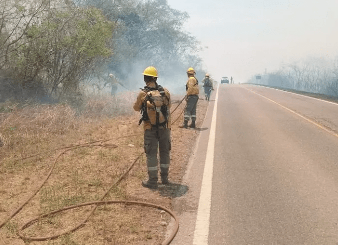 Siete incendios forestales activos en Jujuy arrasan más de 1.200&nbsp;hectáreas