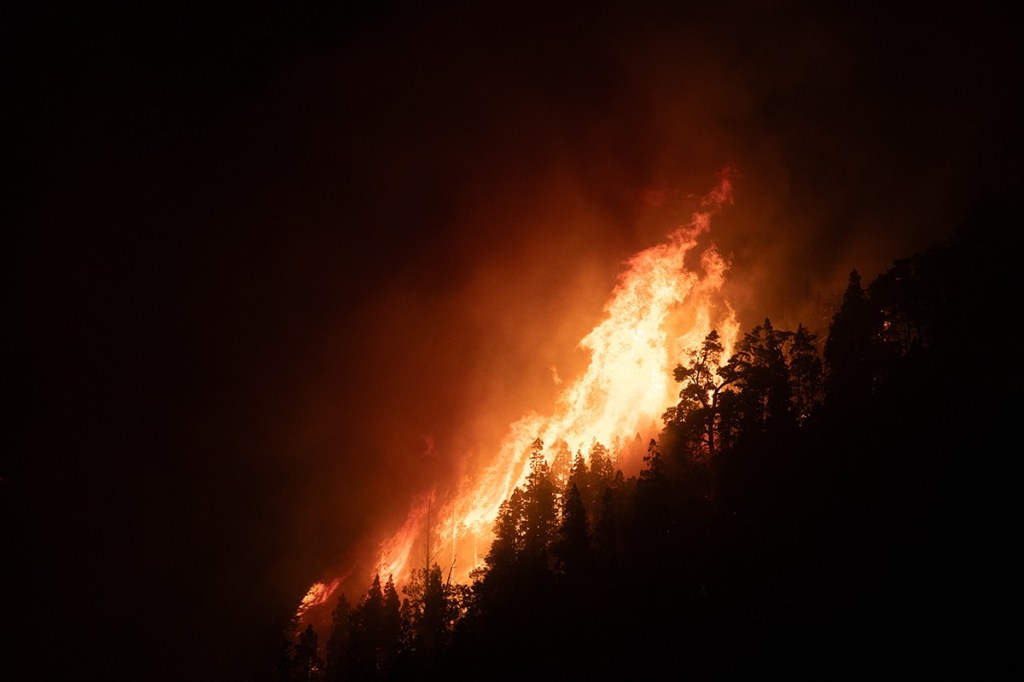 Solidaridad jujeña en la lucha contra los incendios en&nbsp;Chubut