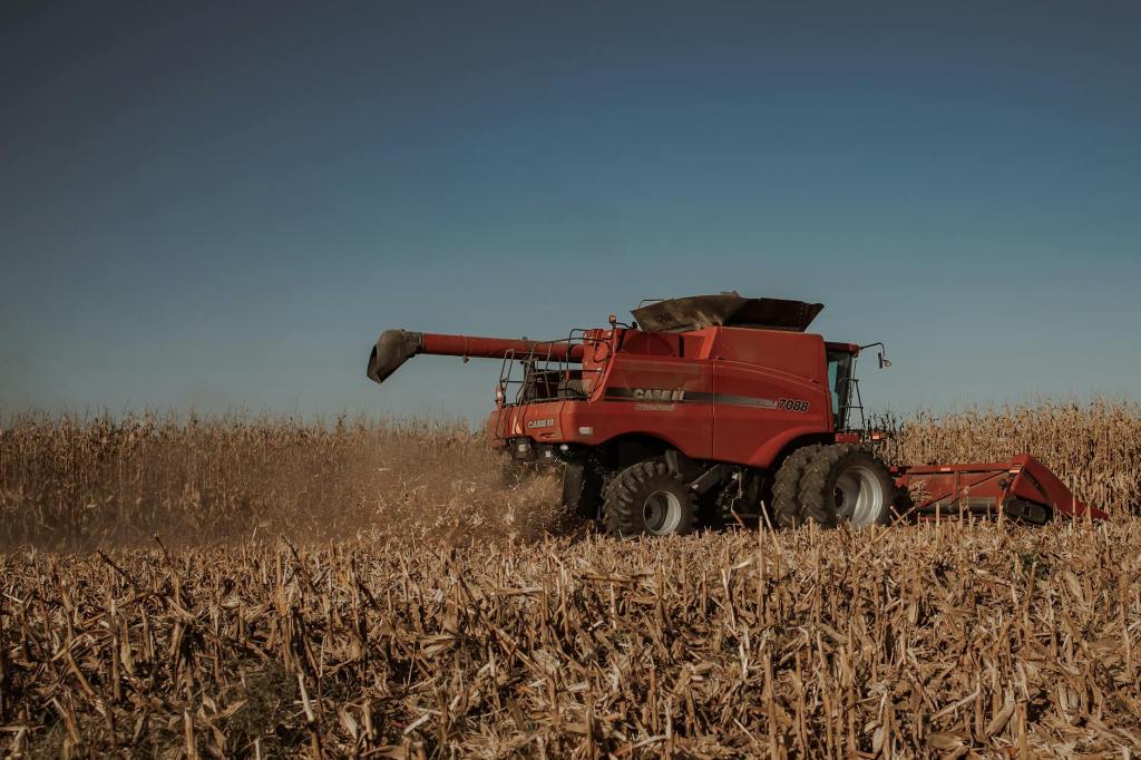 Argentina consolida su maíz como producto estrella en&nbsp;exportaciones