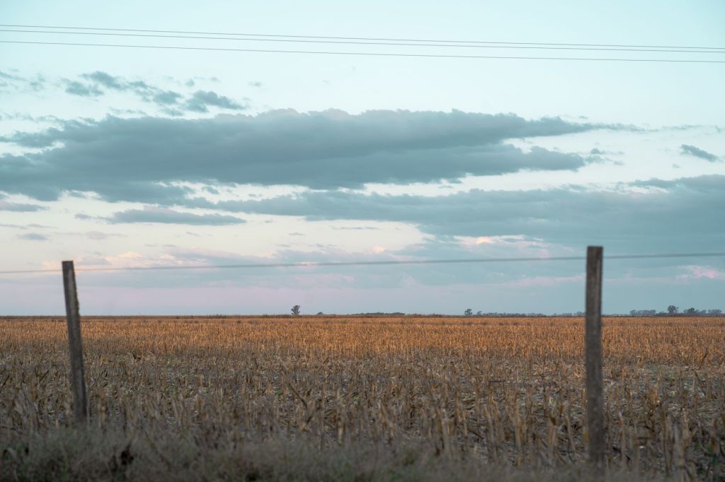 Nueva herramienta contra malezas resistentes: ya llega Authence a los&nbsp;campos