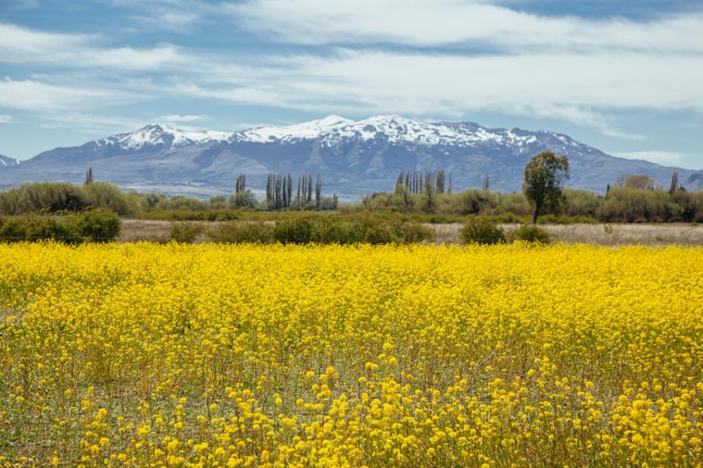 Ruta crítica: productores del norte reclaman por estado de&nbsp;vialidad
